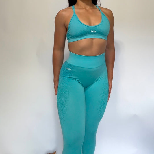 Blue Seamless Leggings
